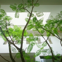 g008.jpg