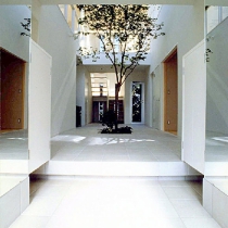 img150.jpg