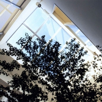 img161.jpg