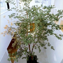 img162.jpg
