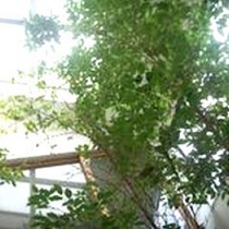201001_30_75_e0106975_9263347.jpg