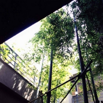 img090.jpg