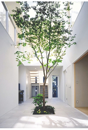 中庭のある開放感あふれる家族の絆が育む光と風の住まい。