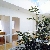 光と風の住まい１５(中庭のある家）