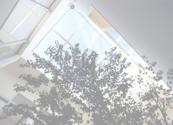 中庭のある狭小住宅