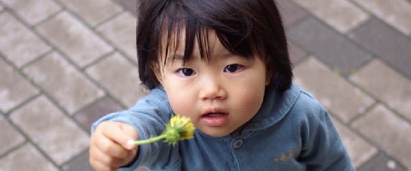 子供の頭が良くなる住まい