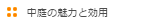中庭の魅力と効用