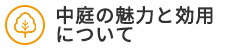 中庭の魅力と効用について