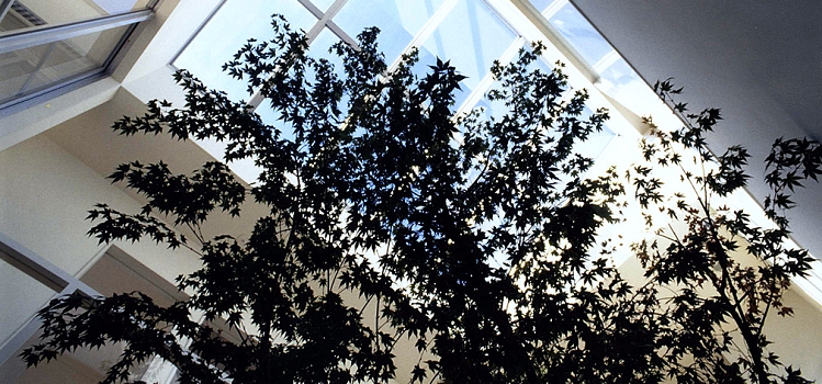 img161.jpg